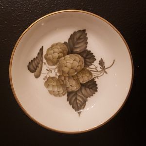 Royal Worcester Mathon Hop Plate Dish 1965 England